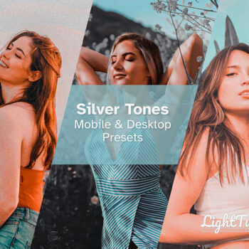 Silver Tones // 15 Presets