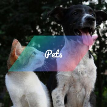 Pets Presets